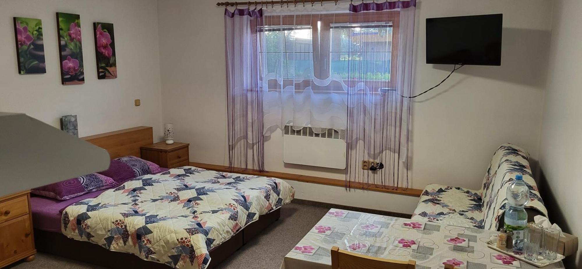 ホテル Privat Nika Závažná Poruba 部屋 写真